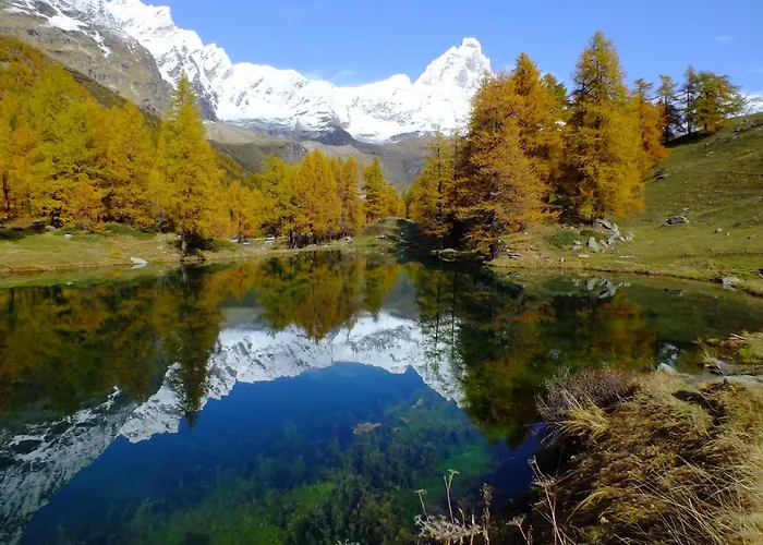 Hellochalet - The Alpine - Studio, Walk To Slopes